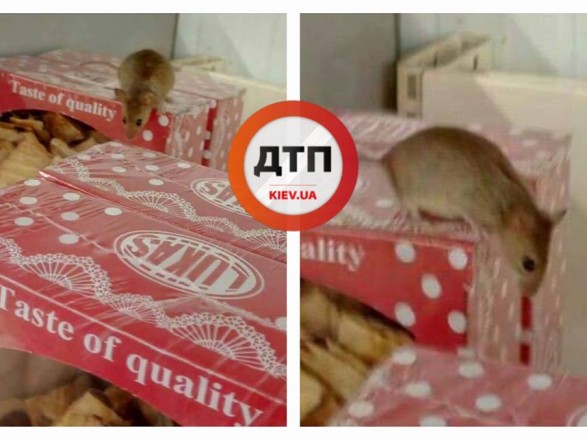 Скандал: в киевском супермаркете животные «дегустируют» товары. ФОТО