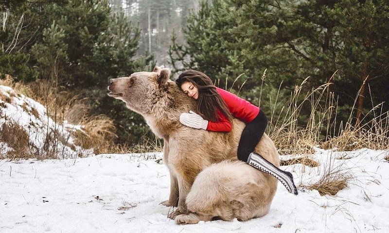 Фотосессия гимнастки с бурым медведем стала яблоком раздора в Интернете