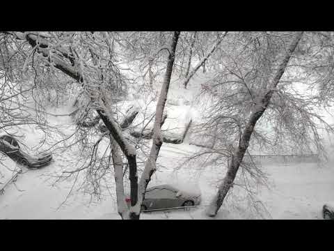Невиданный снегопад свирепствует в Москве, есть погибшие