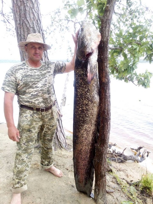 Украинский рыбак поймал на удочку гигантское усатое чудище: фото
