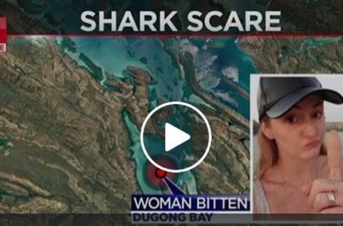 Попытка акулы утащить человека под воду попала на видео