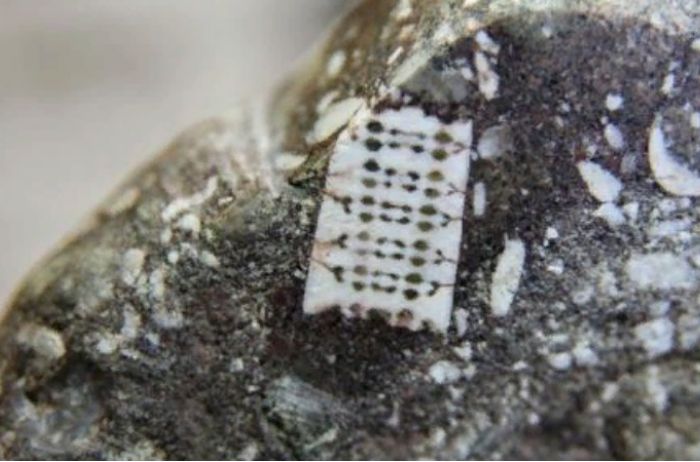 Житель России нашел древний камень с «микрочипом»