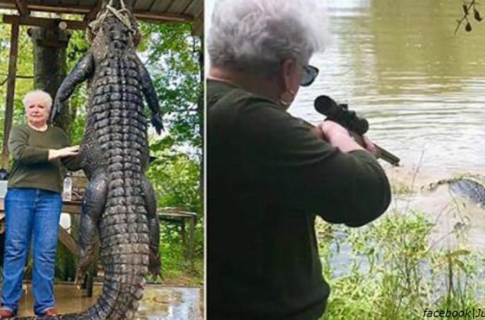 73-летняя бабушка убила 4-метрового крокодила, который съел ее пони. ФОТО