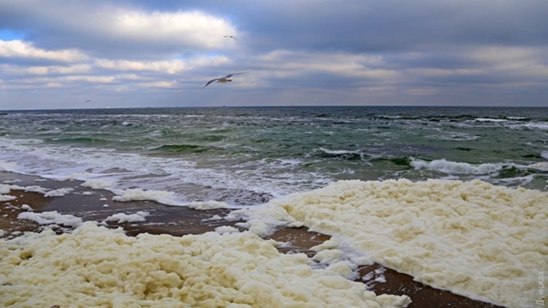 Пляжи Одессы завалило необычной пеной. ФОТО