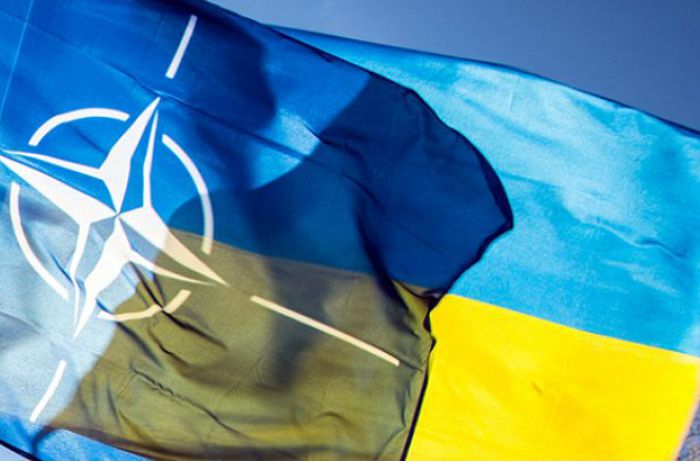 В Альянсе хотят восстановления работы комиссии Украина-НАТО