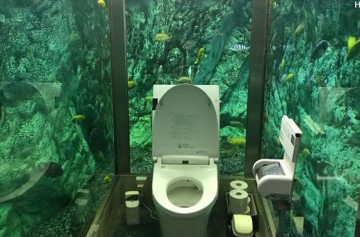 В Японии создали туалет, прославившийся на весь мир