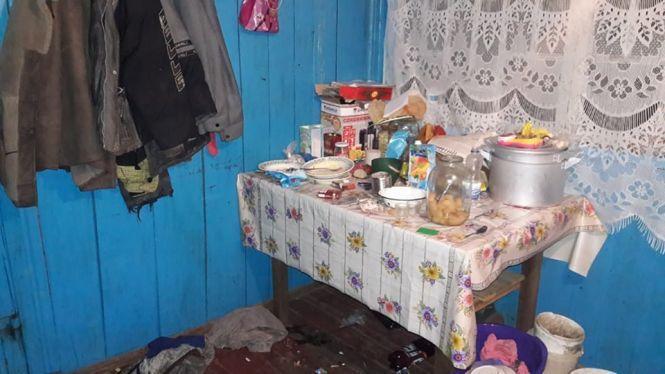 На Житомирщине родители сожгли в печи 3-летнюю дочь