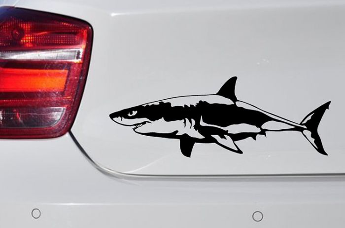 Что обозначает наклейка в виде акулы на багажнике авто