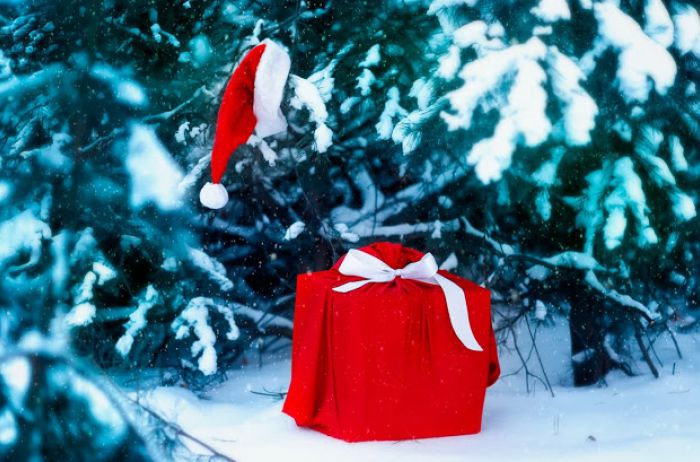 Гороскоп на 18 - 28 декабря: «Три знака Зодиака получат неожиданные подарки Судьбы»