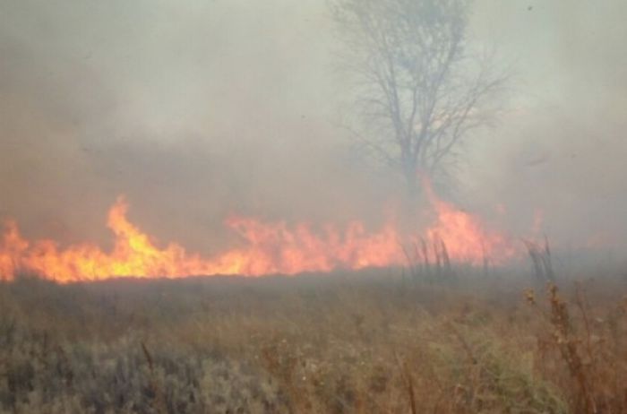 Под Киевом вспыхнул крупный пожар: рядом поселок и электростанция. ВИДЕО