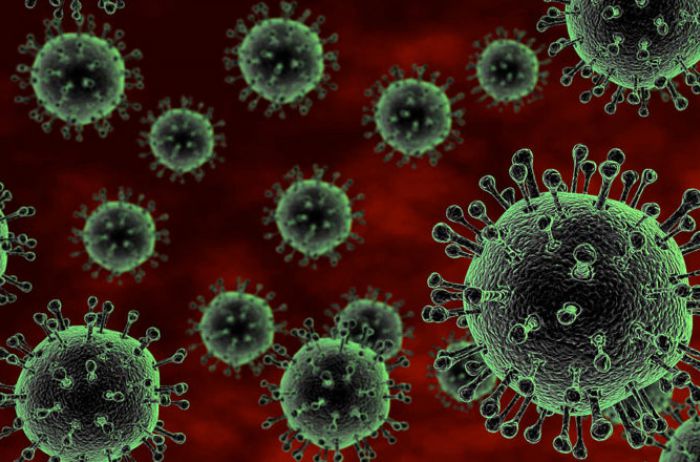 Фронт борьбы с коронавирусом: на одного умершего приходится 10 выздоровевших