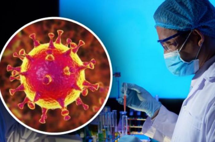 Ученые высчитали, сколько миллионов человек убьет коронавирус