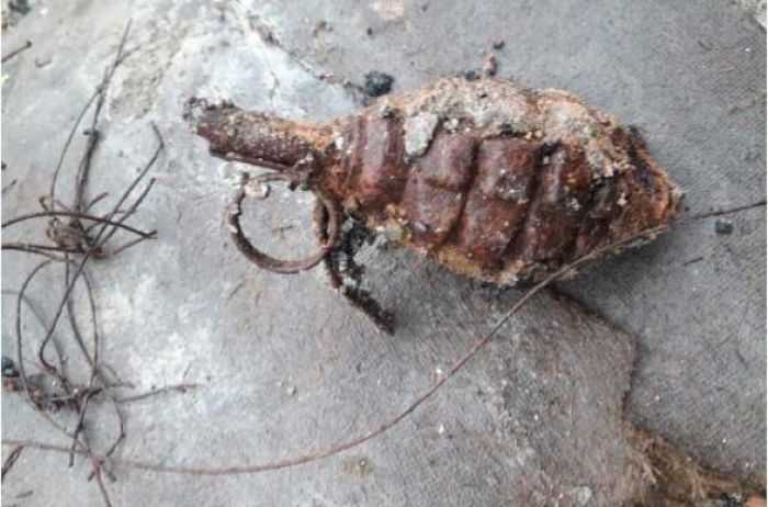Опасная находка: на Житомирщине 10-летний мальчик наткнулся на гранату во время прогулки