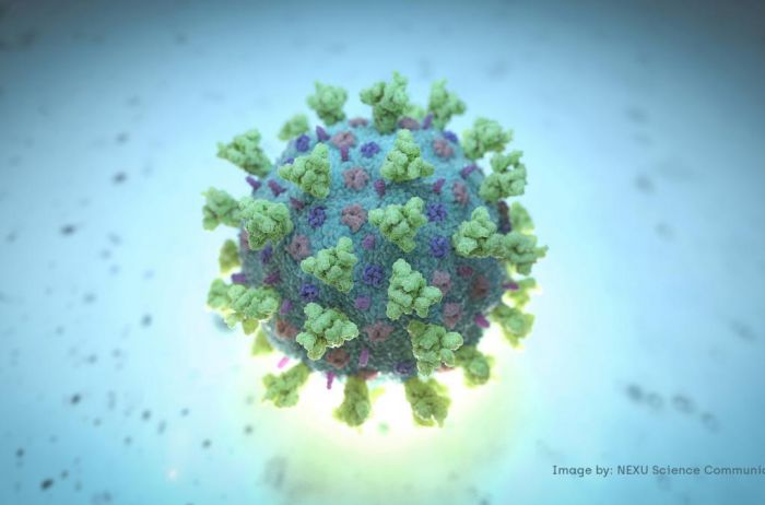 Ученые выяснили, был ли толк от карантина во время коронавируса
