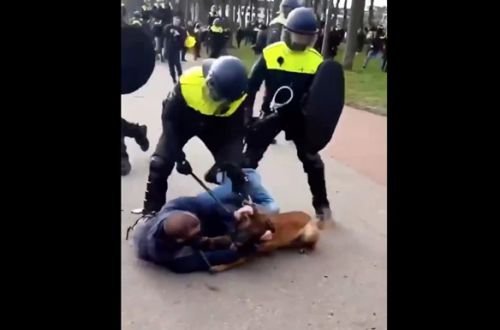 В Гааге на протестующих против карантина натравили собак