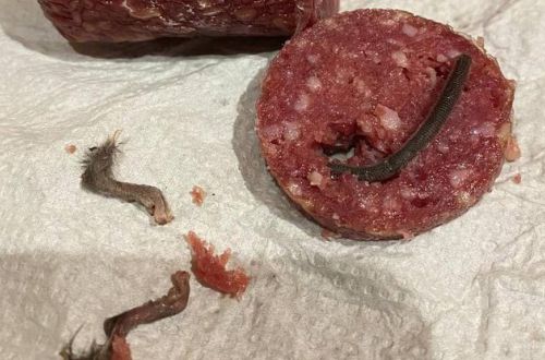 Вместо мяса украинец нашел в колбасе крысиные лапы и хвосты