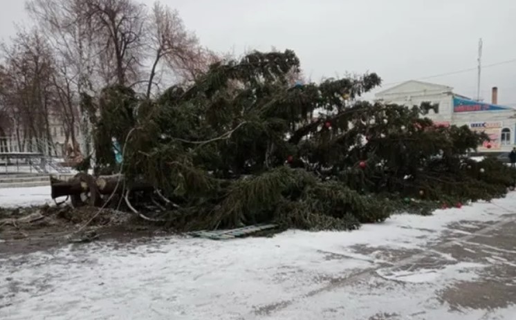 Курьезы с новогодними елками в  Украине. ФОТО